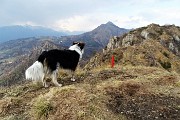 Anello al PIZZO RABBIOSO (1151 m) con Croce di Bracca e Pizzo di Spino da Bracca il 13 marzo 2018  - FOTOGALLERY